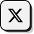 X Icon